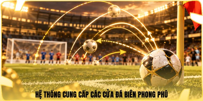 Hệ thống cung cấp các cửa đá biên phong phú