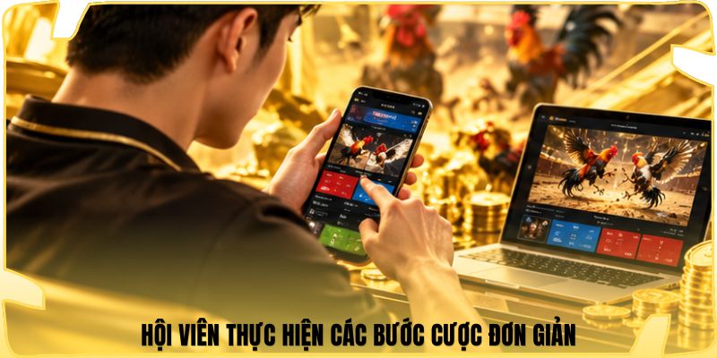 Hội viên thực hiện các bước cược đơn giản