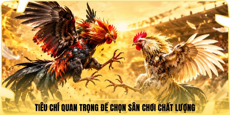 Tiêu chí quan trọng để chọn sân chơi chất lượng